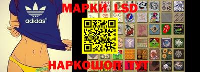 крисы Шахты