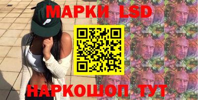 крисы Шахты