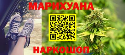 крисы Шахты
