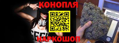 крисы Шахты