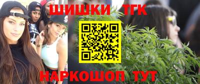 крисы Шахты