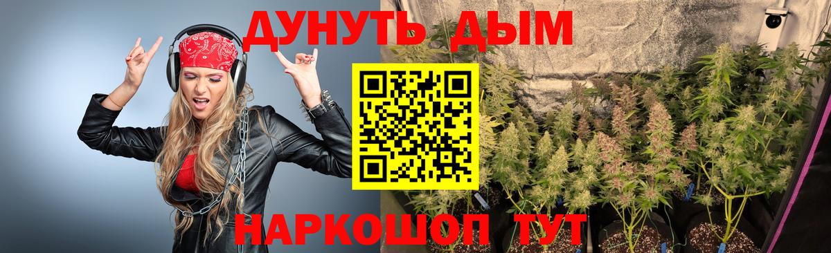 Канабис Amnesia  Вход с VPN  Марихуана Ganja  Кунгур  Бошки марихуана конопля 